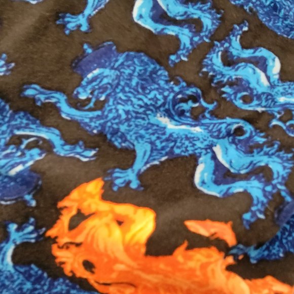 LuLaRoe Tall & Curvy TC Legging Blue Black Orange Mystical Mythical Dragon Lion - Picture 10 of 13